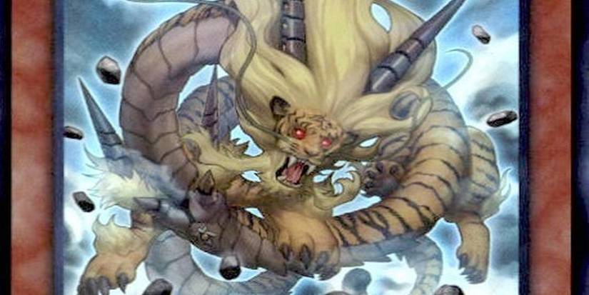 Yu-Gi-Oh: 10 Best Yang Zing Cards