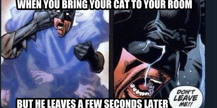Dont Leave Me Batman Meme