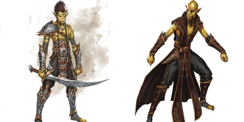 20 Years of DDO (New Variant and Race) | Page 2 | Dungeons & Dragons ...