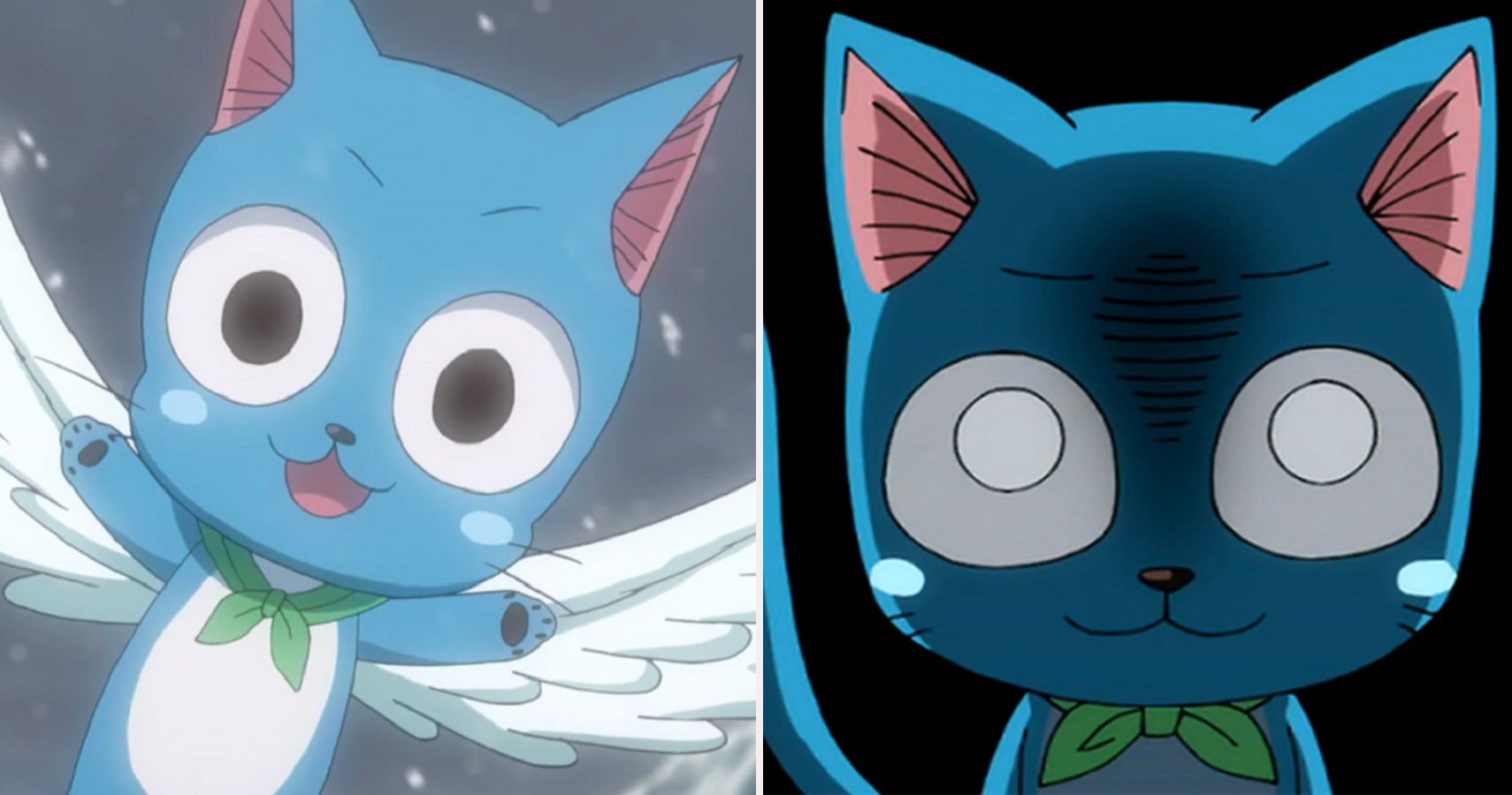 Fairy Tail: 10 Things That Make No Sense About Happy CBR.