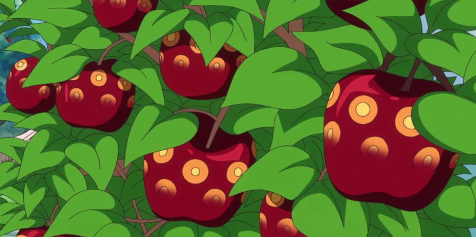 One Piece All 7 Types Of Devil Fruits In The Franchise Ranked