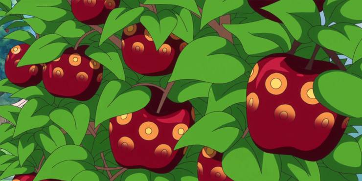 Pin On Devil Fruits