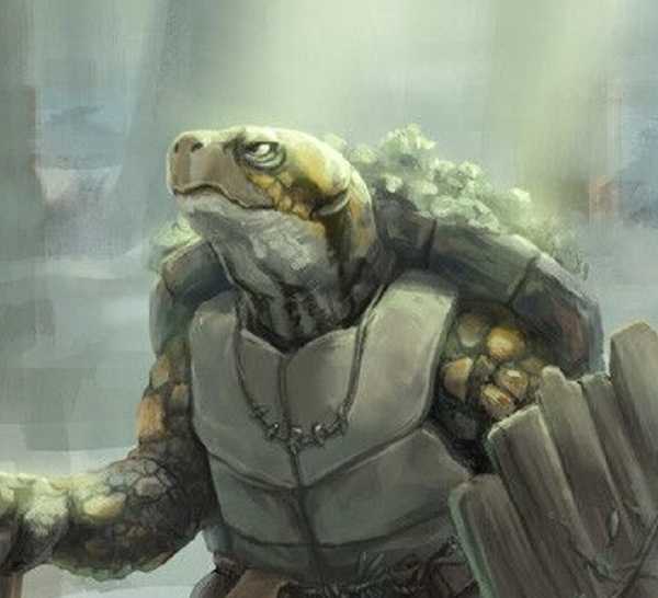 Turtle Shell Lyre Dnd Dungeons & Dragons: 10 Best Character Species For Your Next Sorcerer