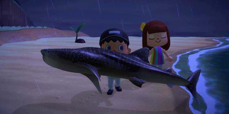 Animal Crossing How To Catch The Game S Rarest Fish Cbr