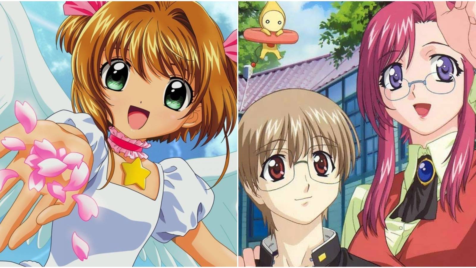 10 Licensed Anime Collections That Are Impossible To Find (& How Much ...