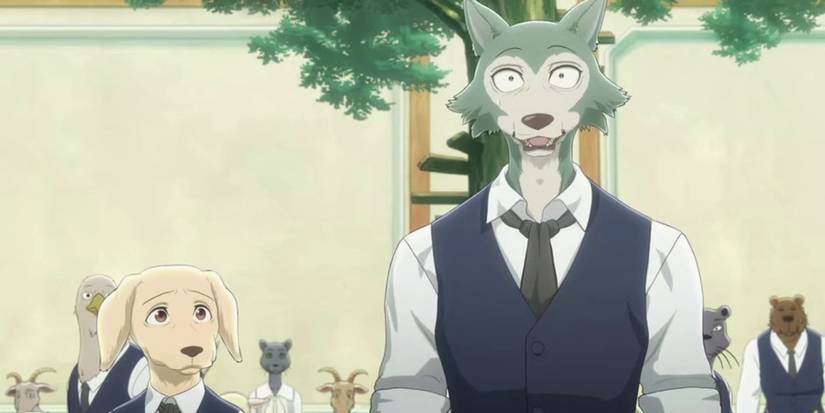 Beastars Explained Beastars Anime Character Guide