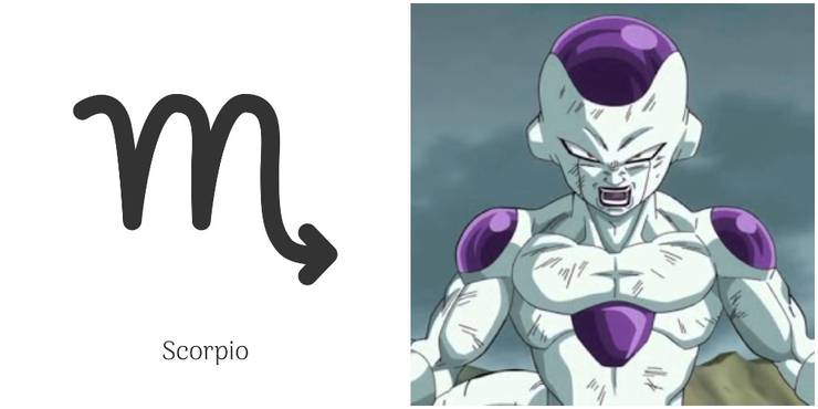 Which Dragon Ball Z Character Are You Based On Your Astrology Type