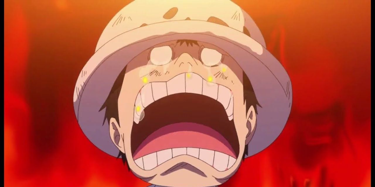 One Piece: As 10 histórias de fundo mais trágicas da série até o momento 10
