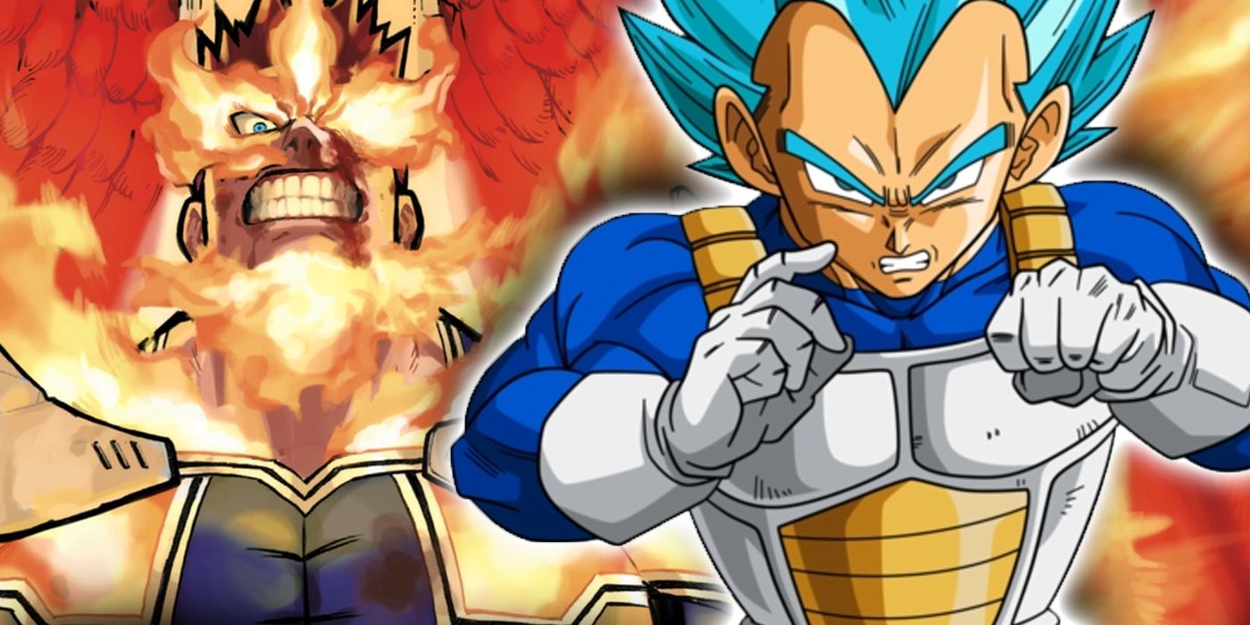 vegeta cbr