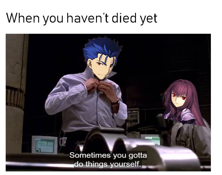 Fate: The 10 Most Hilarious Memes About Lancer Dying