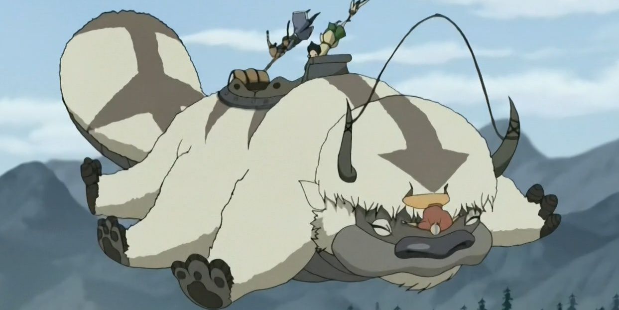 Avatar: 10 Things Fans Don't Know About Appa