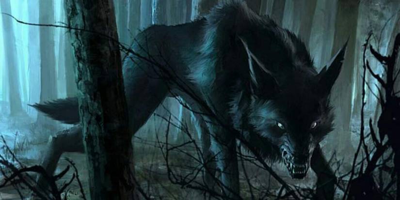D&D: 10 Beginner Friendly Classes Newcomers Should Try