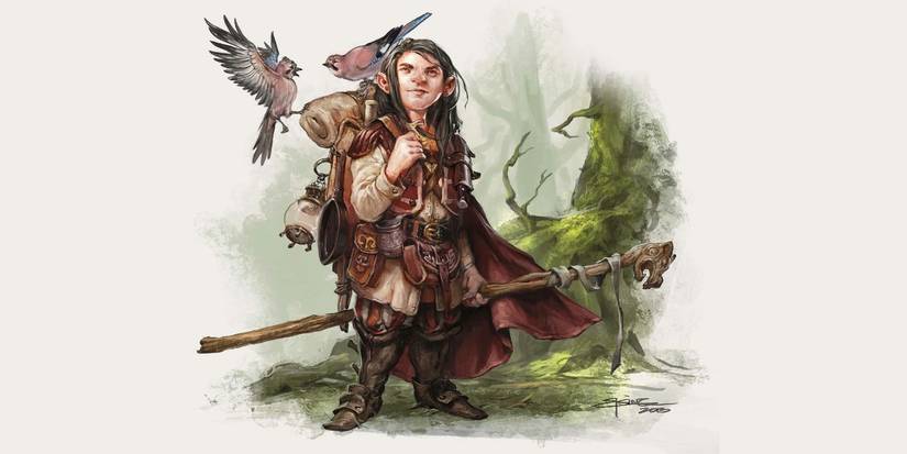 Halfling Rouges Dnd Best D&D Character Races For Rogue