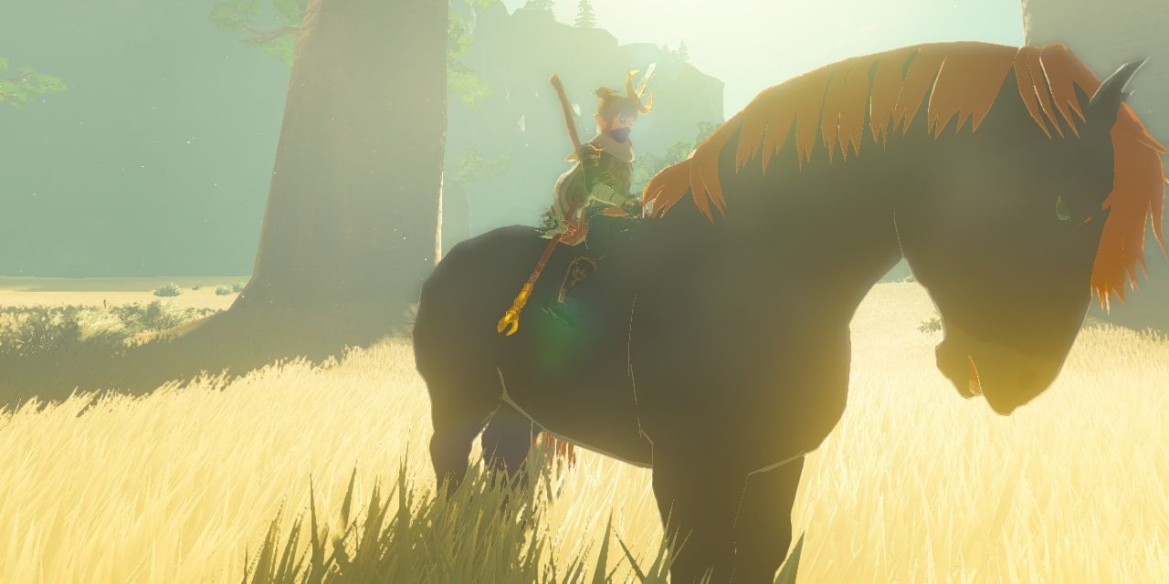 skyrim how to find horse skyrim how to find horse