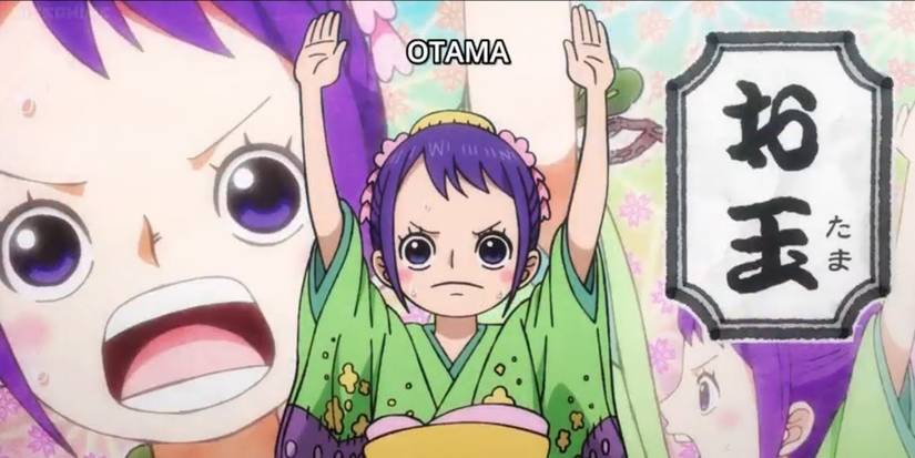 One Piece: 5 Candidates For 11th Straw Hat (& 5 Who Would Never Join)