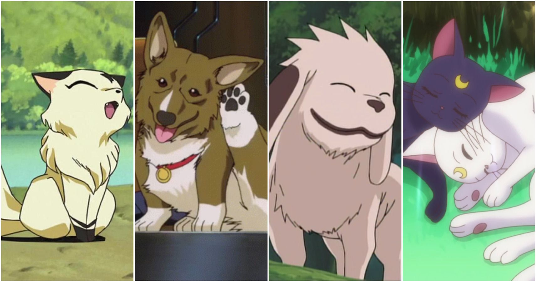 10 Most Iconic Pets In Anime History, Ranked | CBR