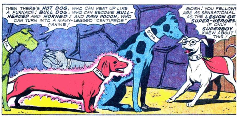10 Most Iconic Pets In DC Comics, Ranked