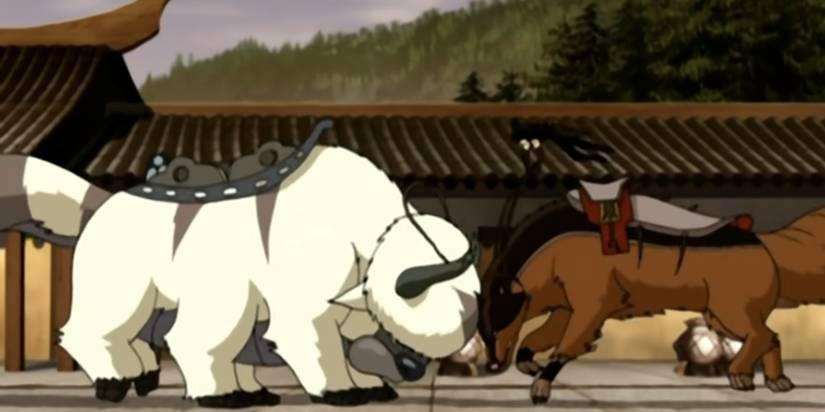 Appa Gun ATLA: Appa's Best Moments