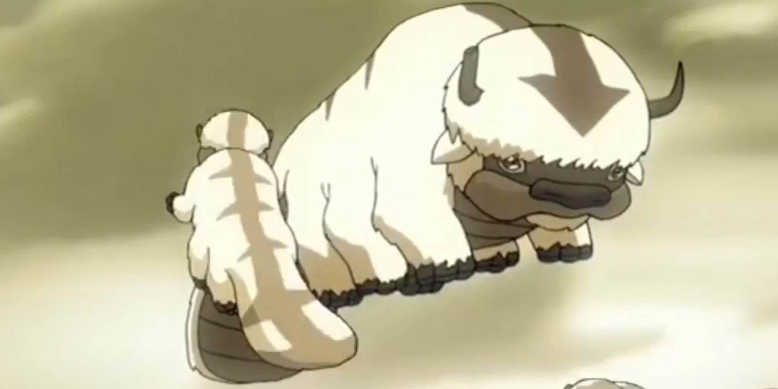 Appa Bird Avatar: 10 Things Fans Don't Know About Appa