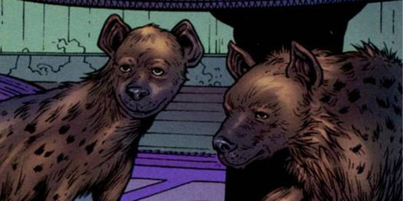 DC: The 10 Strongest Pets, Ranked