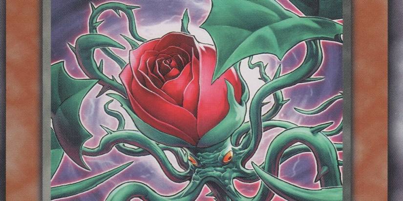 yugioh rose tentacles deck Amazon.com: Yu-Gi-Oh! - Rose Tentacles (RGBT-EN007) - Raging Battle - 1st  Edition