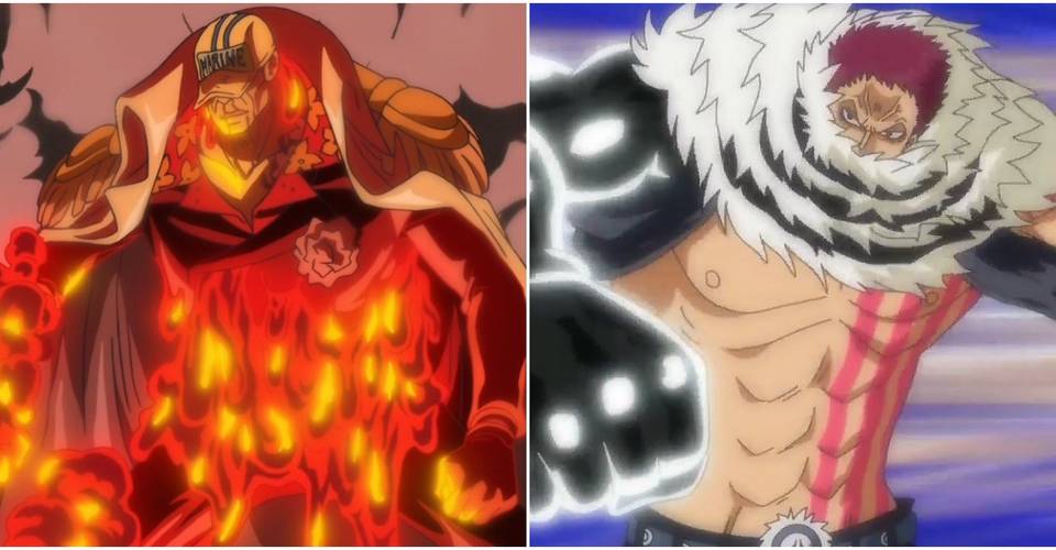 One Piece All 7 Types Of Devil Fruits In The Franchise Ranked One Piece All 7 Types Of Devil Fruits In The Franchise Ranked