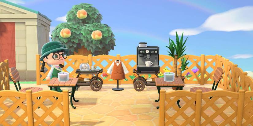 Animal Crossing: Where Is Brewster?