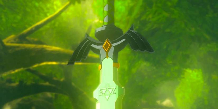 10 Hidden Details About The Zelda Breath Of The Wild Lore Everyone 10-hidden-details-about-the-zelda-breath-of-the-wild-lore-everyone