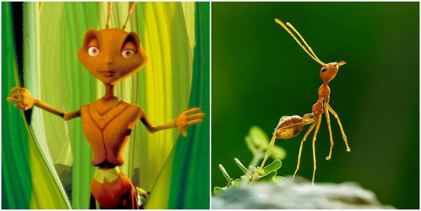 5 Reasons Dreamworks' Antz Is A Better Movie Than Pixar's A Bug's Life ...