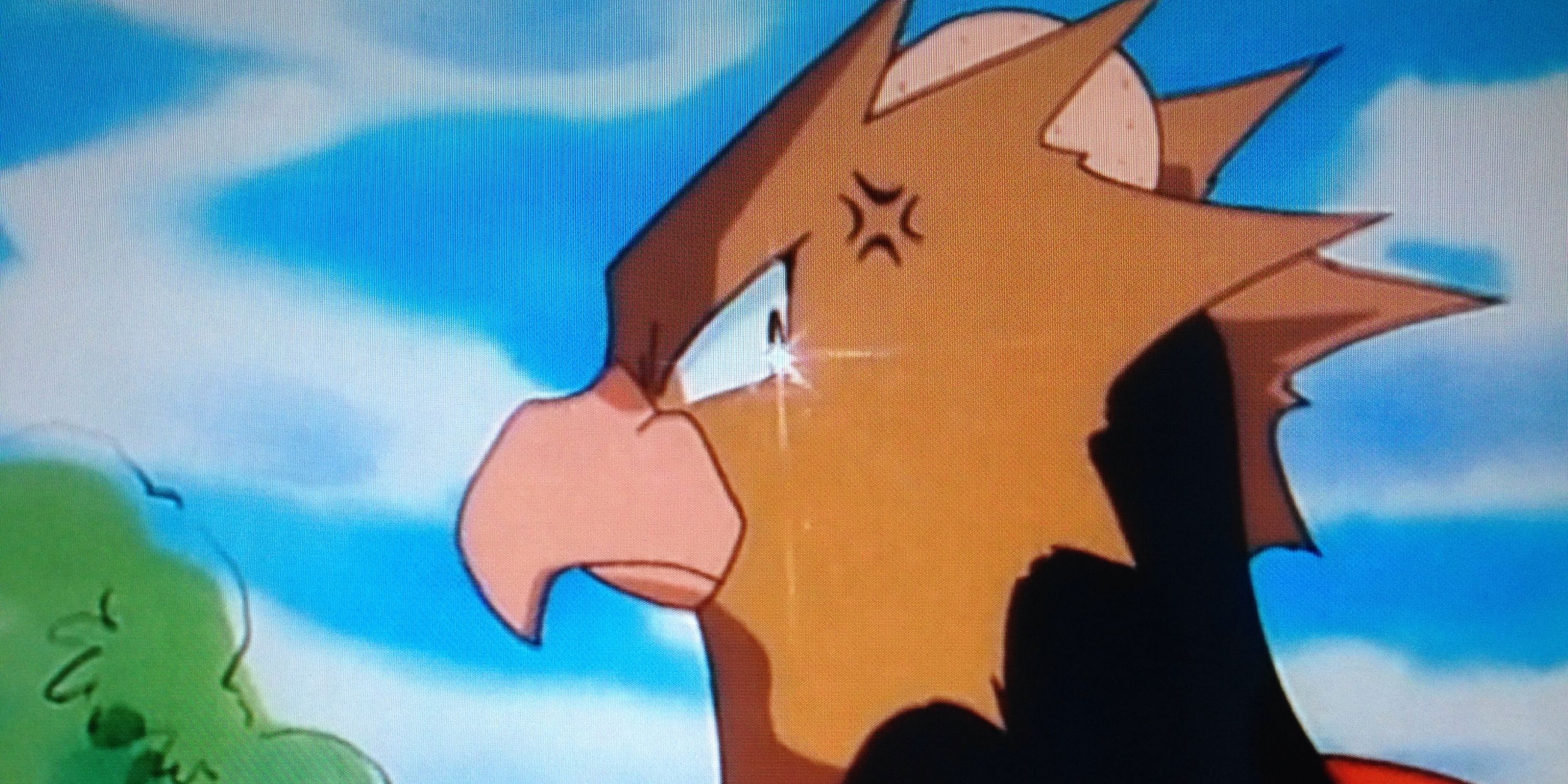 Pokémon 10 Terrible Things Ash Has Done In The Anime (That Every Fan Ignores)