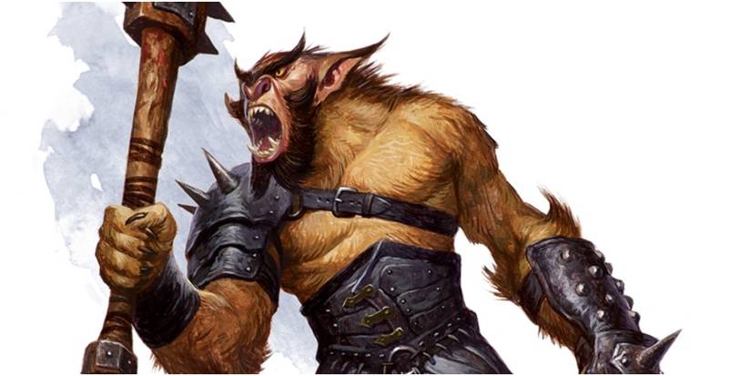 Dnd Insect Ranger 9 Best Builds For Rangers In D&D