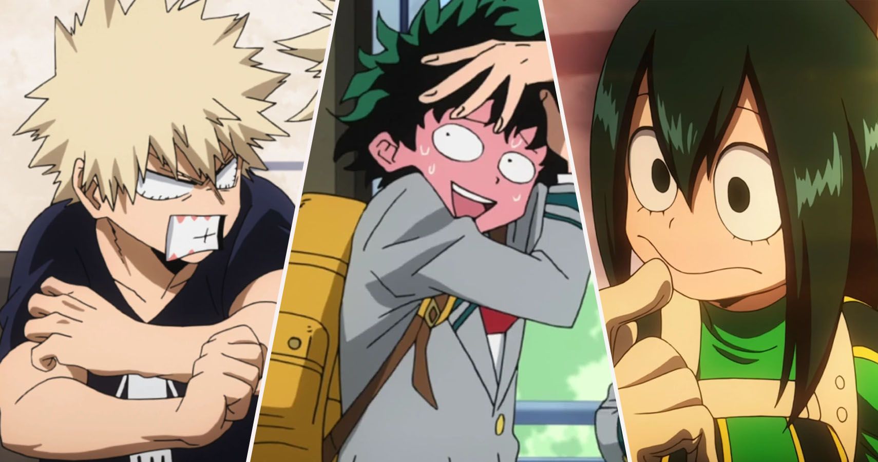 My Hero Academia: 5 Characters Fans Want Deku To End Up With (& 5 That