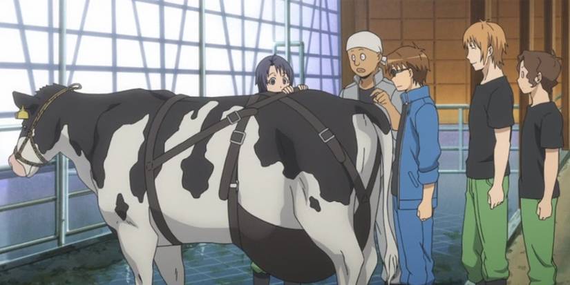 After Fullmetal Alchemist: Brotherhood Became the #1 Anime in the World ...