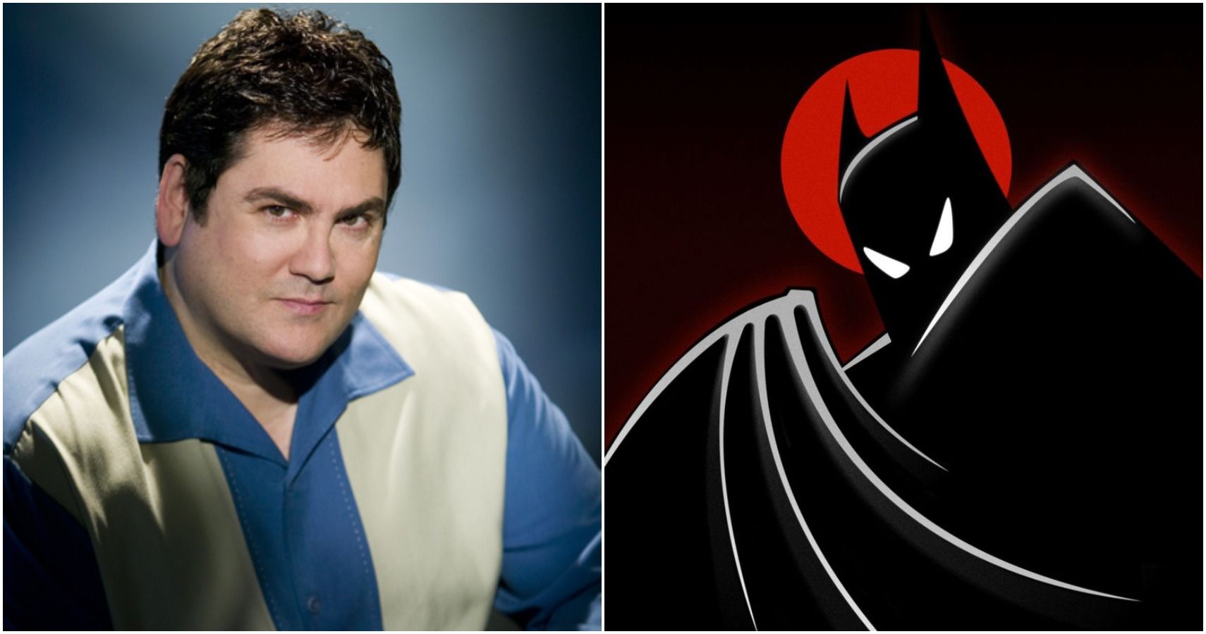 Batman Animated Paul Dini バットマン アニメイテッド Batman