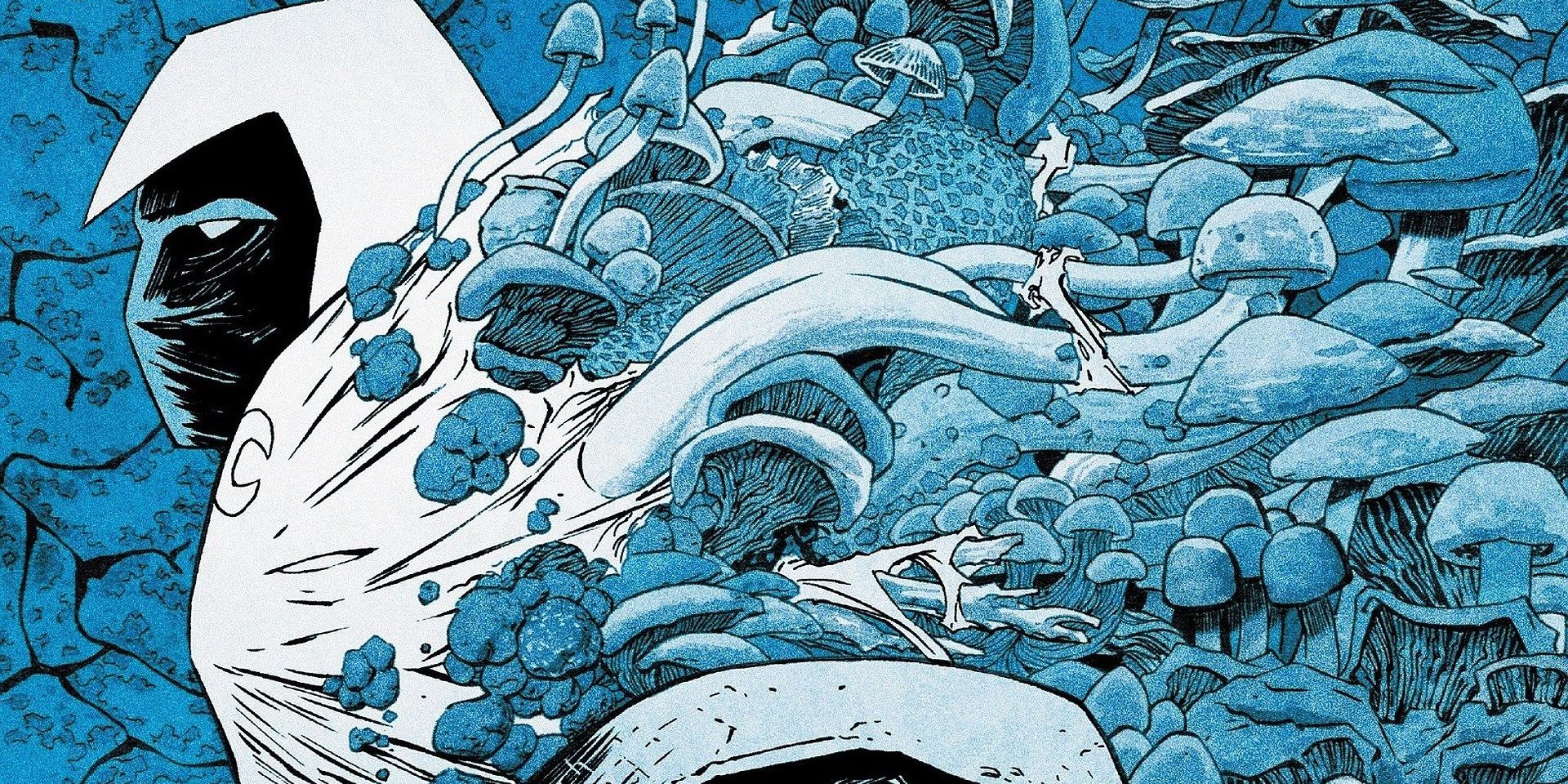 Moon Knight Saison 2 Date De Sortie