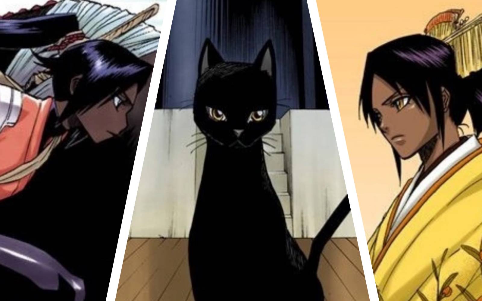 Bleach: 10 Things About Yoruichi That Make No Sense, image size:1600x1000