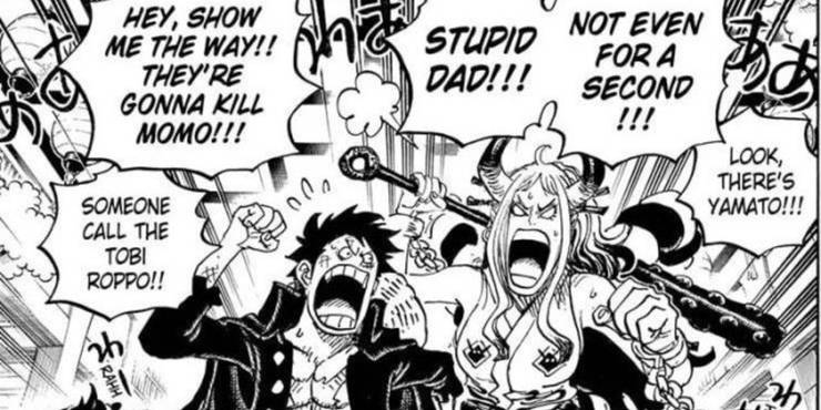 Straw Hat Pirates 10th Crew Member Straw Hat Pirates 10th Crew Member