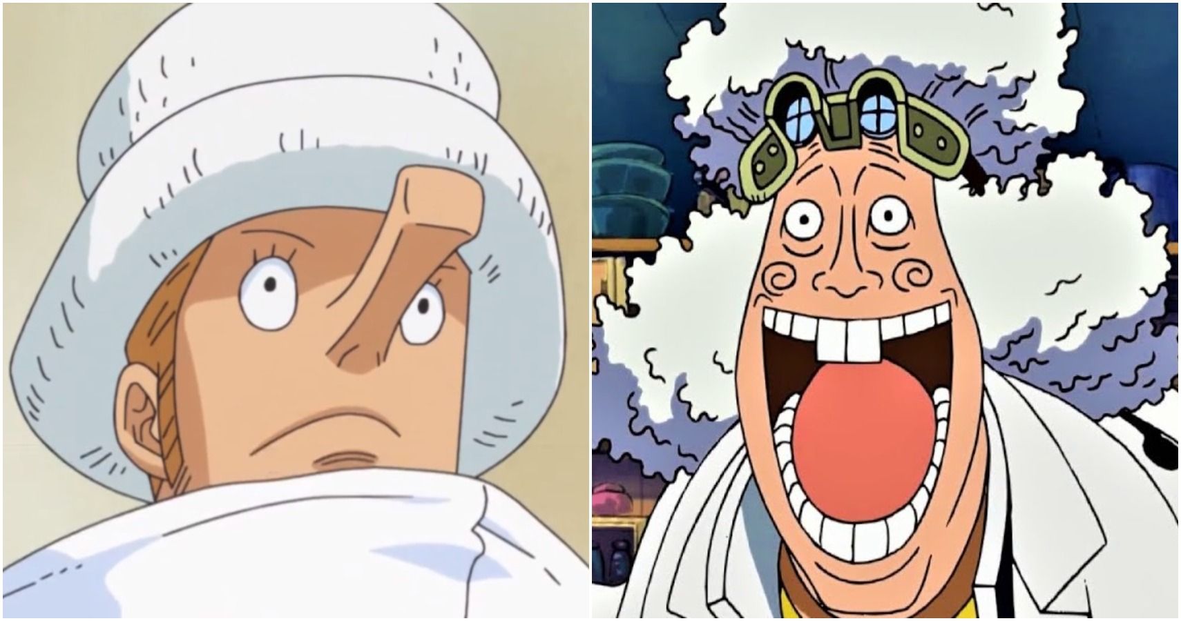 One Piece Anatomy: 10 Weird Things About Its Citizens' Bodies