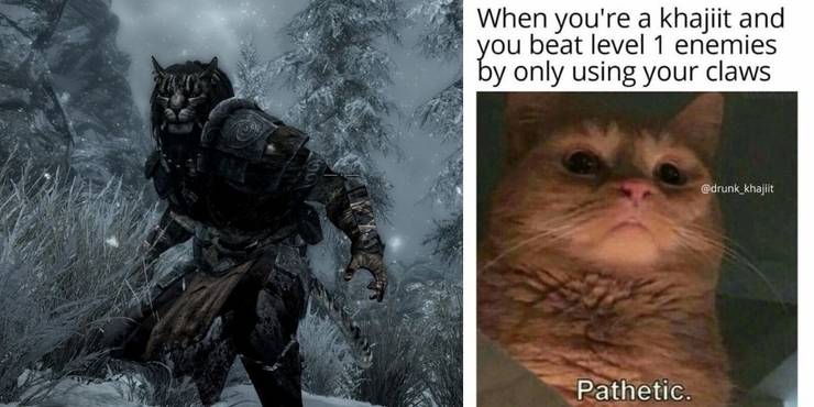 Skyrim 10 Khajiit Versus Argonian Memes That Are Too Hilarious