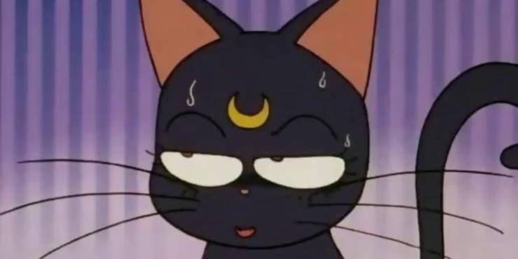 Sailor Moon Luna S 10 Shadiest Burns Cbr Find funny gifs, cute gifs, reaction gifs and more. sailor moon luna s 10 shadiest burns cbr