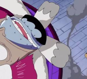 Chopper Unconrollable Rumble Every Ability Chopper Has Because of the Rumble Ball