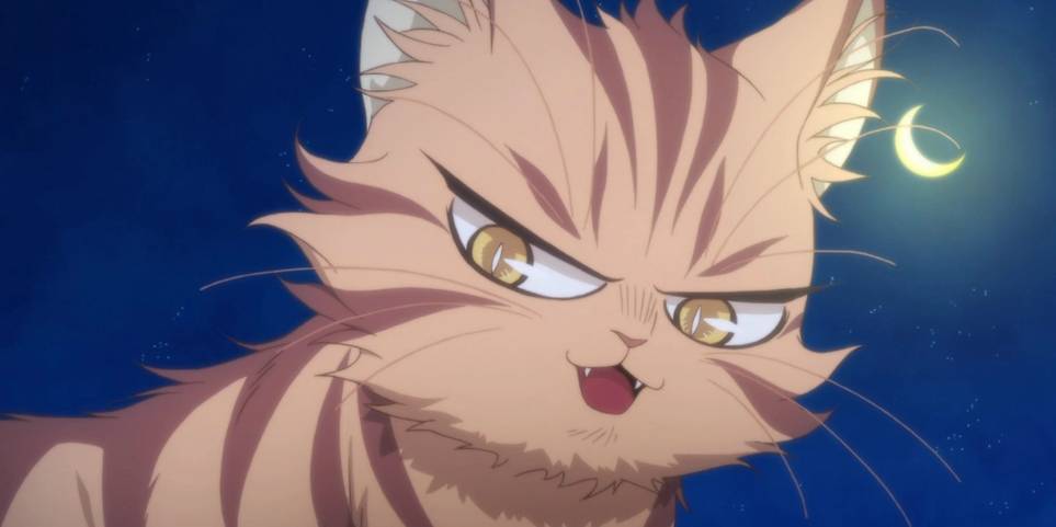 My Roommate Is A Cat 10 Things You Need To Know About Haru Cbr My Roommate Is A Cat 10 Things You Need To Know About Haru Cbr