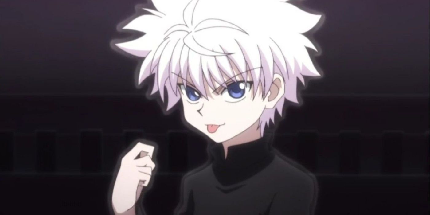 Hunter x Hunter: Zoldyck Family Tree, Explained