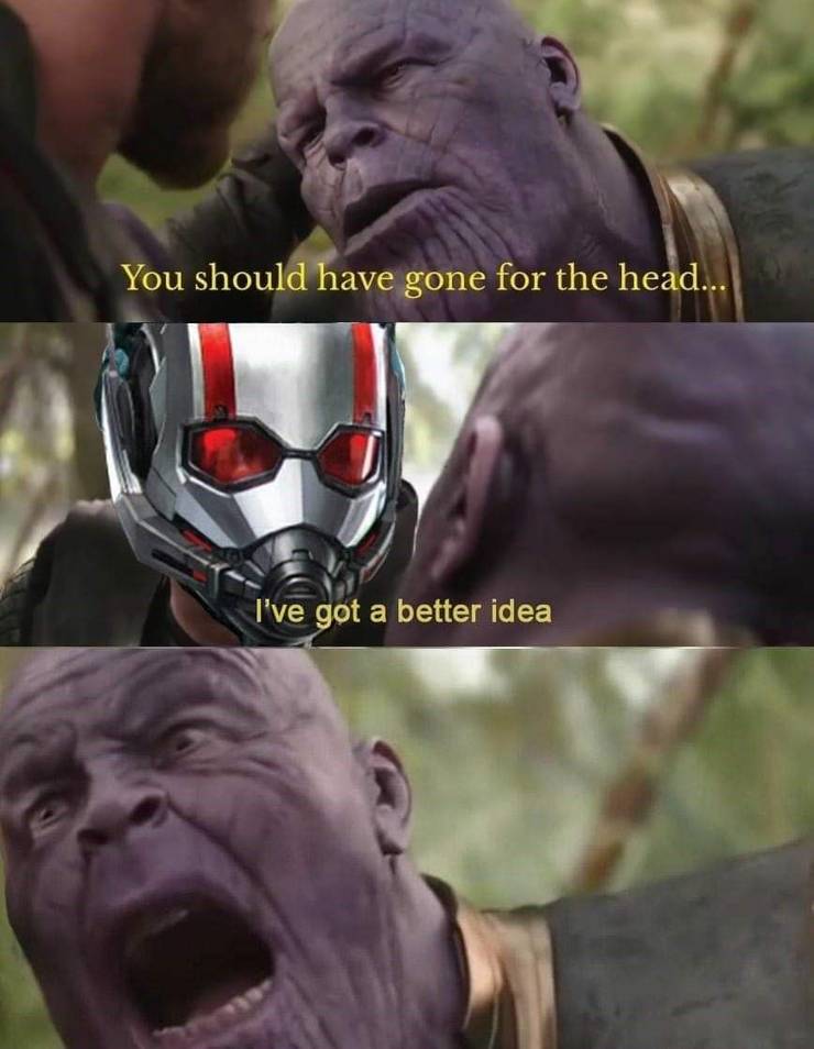 Marvel 10 Hilarious Ant Man Vs Thanos Memes You Need To See Marvel 10 Hilarious Ant Man Vs Thanos Memes You Need To See