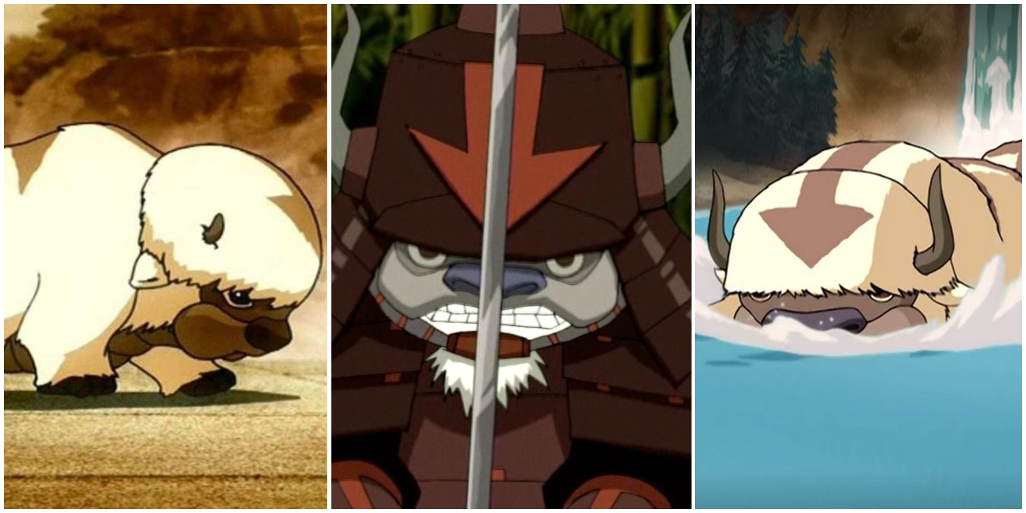Avatar: 10 Things You Didn't Know About Appa | CBR