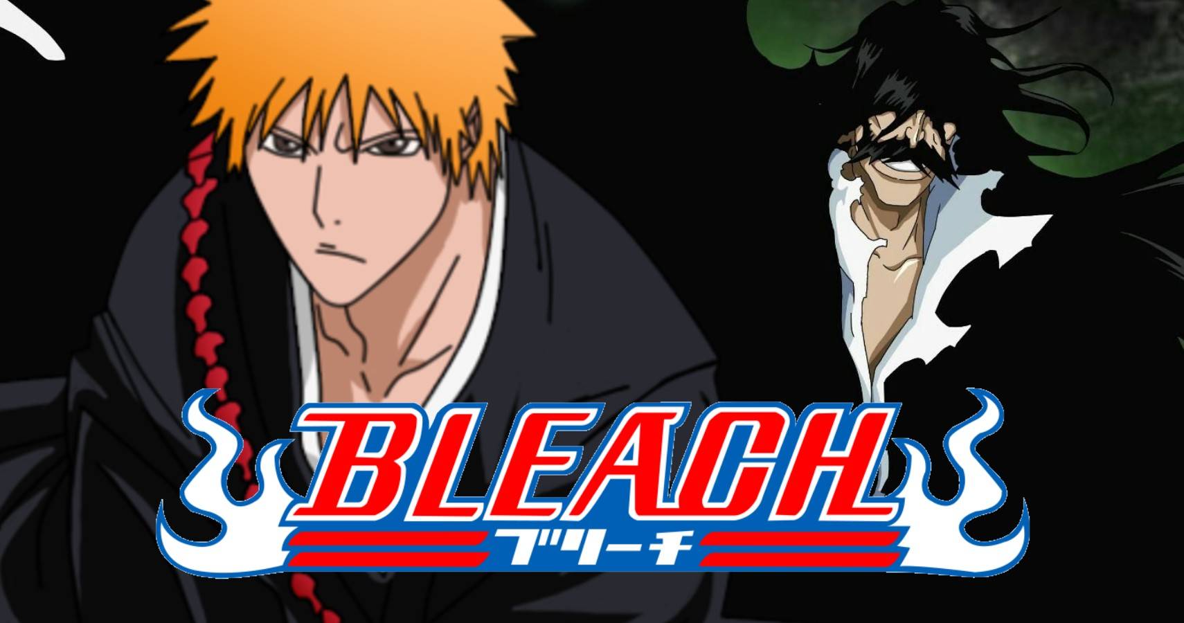 Bleach plot holes