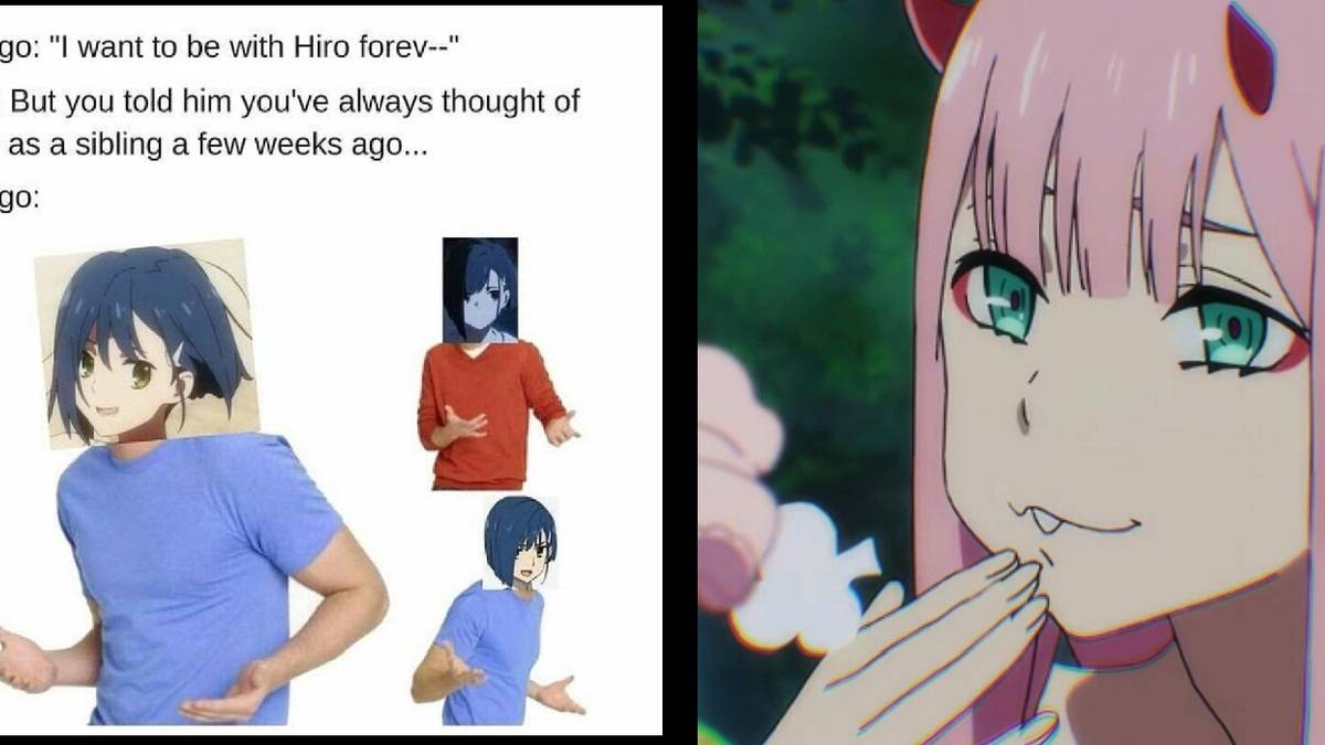 10 Darling In The Franxx Memes Only True Fans Understand