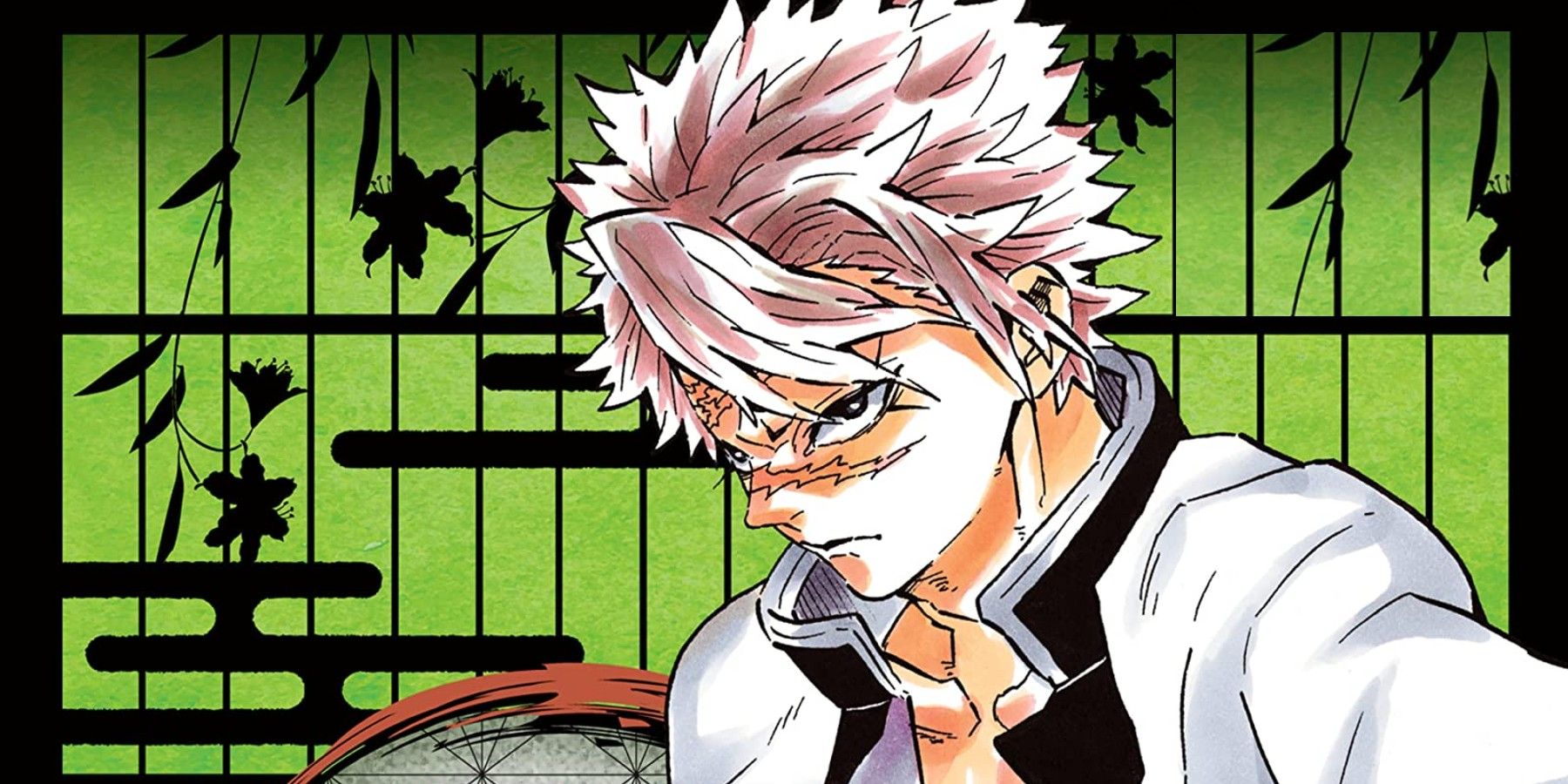 Demon Slayer Vol 19 Shinobu S Secret Is Revealed As The Hashira Are Tested