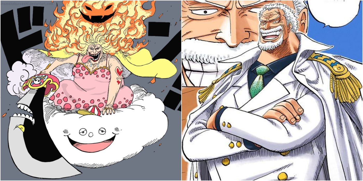 One Piece 10 Strongest Characters Older Than 30 Ranked Cbr