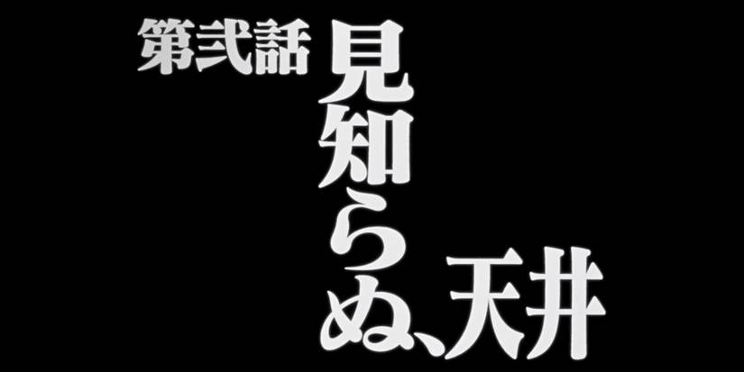 Neon Genesis Evangelion: 10 Major Differences Between The Sub & Dub